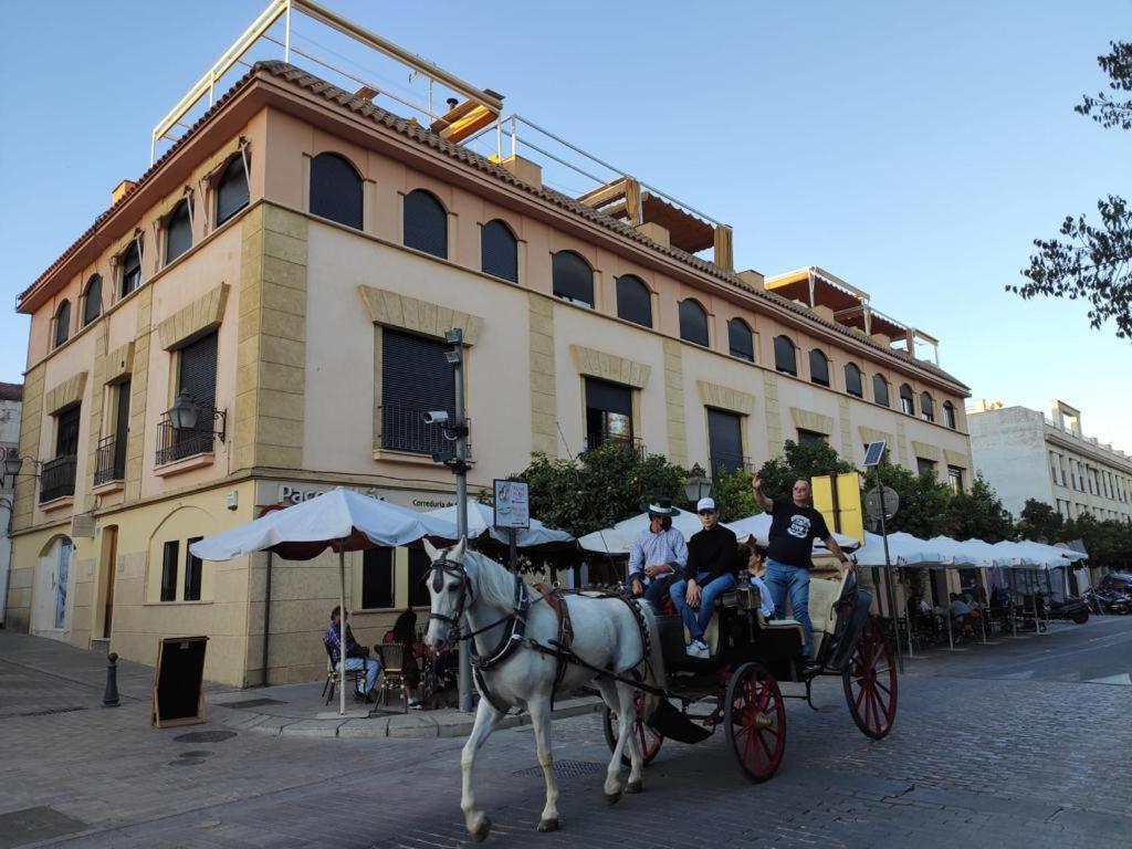 La Terraza Del Puente Y Mezqt-Catedral Apartment Cordoba Ngoại thất bức ảnh